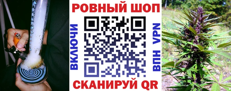 Купить закладку Чернушка Alpha-PVP  Cocaine  Гашиш  Мефедрон  Конопля 