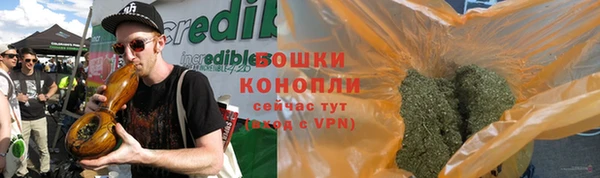 молекула духа Покров