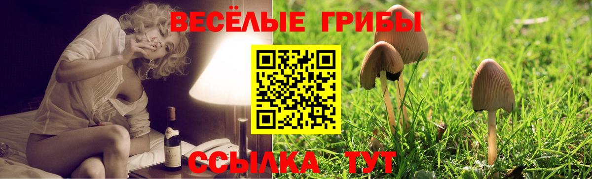 Псилоцибиновые грибы мицелий  Вход с VPN  Чернушка 