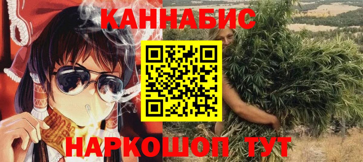 Бошки Шишки гибрид Чернушка