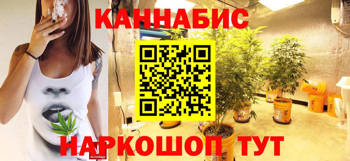 Каннабис OG Kush  Бошки марихуана гибрид  Чернушка  Бошки Шишки MAZAR  Вход с VPN 